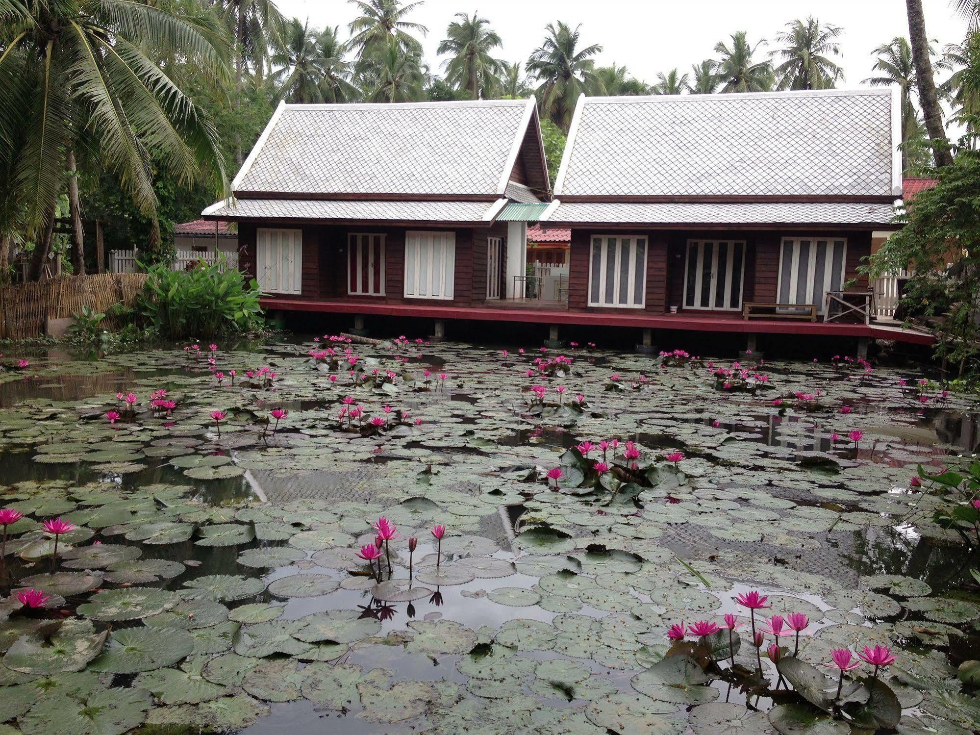 Luang Prabang Oasis Hotel Exterior foto